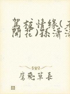 驾校情缘(老树开花)孙潇潇笔趣阁
