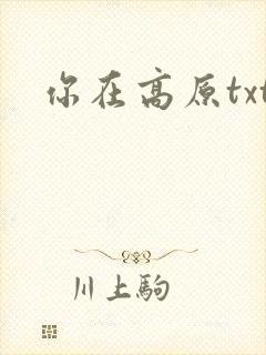 你在高原txt
