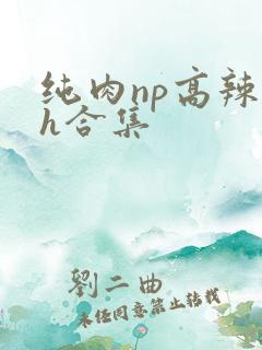 纯肉np高辣文h合集