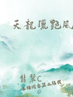 天龙猎艳风流