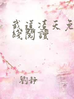 武道凌天免费在线阅读