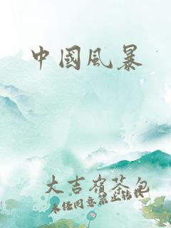 中国风暴