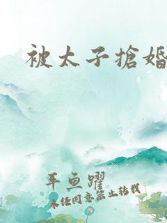 被太子抢婚之后