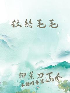 拉丝毛毛