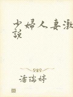 少妇人妻激情小说