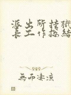 派出所挂职副所长工作总结