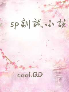 sp训诫小说