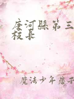 唐河县第三小学校长