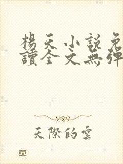 杨天小说免费阅读全文无弹窗