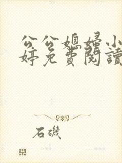 公公媳妇小说婉婷免费阅读全文最新章节