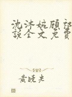 沈沐婉顾祁安小说全文免费阅读