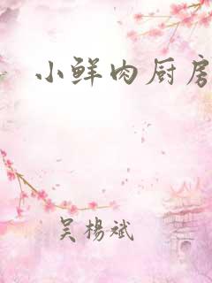 小鲜肉厨房