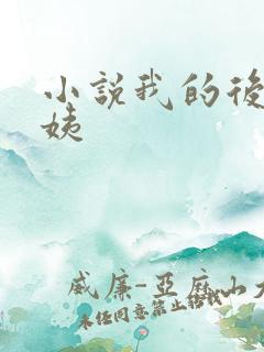 小说我的后妈小姨