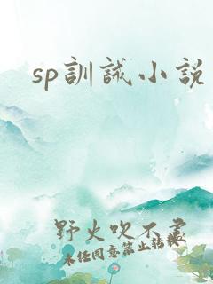sp训诫小说