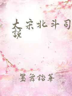 大宋北斗司 小说