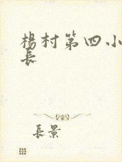 杨村第四小学校长