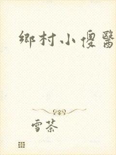 乡村小傻医阅读