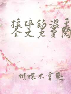 揉碎的温柔小说全文免费阅读