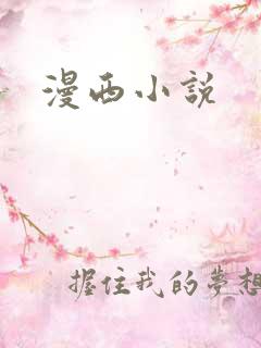 漫西小说