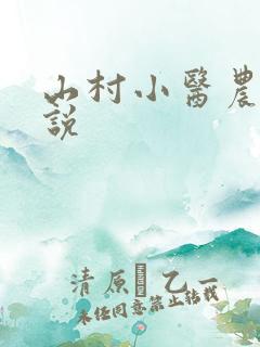 山村小医农 小说