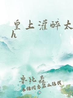 皇上灌醉太子妃h
