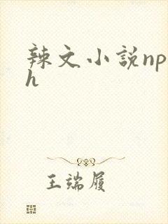 辣文小说np高h