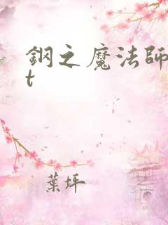 钢之魔法师txt