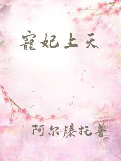 宠妃上天