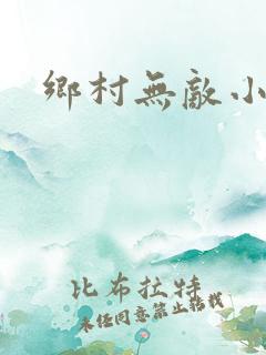 乡村无敌小傻医
