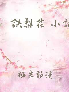 铁梨花 小说