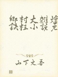 乡村大杂烩会王铁柱小说免费阅读下