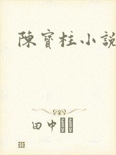 陈宝柱小说