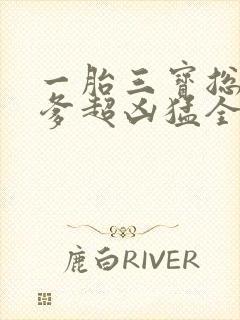 一胎三宝总裁爹爹超凶猛全文免费阅读