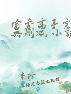 偷香高手完整版无删减 小说