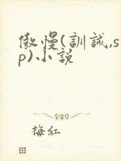 傲慢(训诫,sp)小说