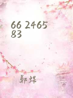 66 246583