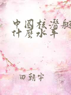 中国核潜艇处于什么水平