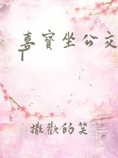喜宝坐公交TXT