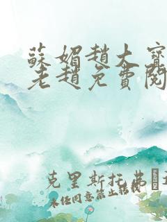 苏媚赵大宝小说老赵免费阅读