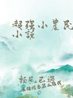 超强小农民有声小说