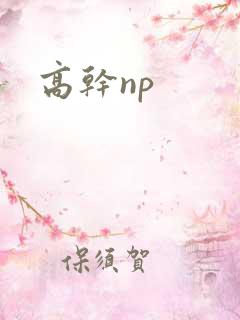 高干np