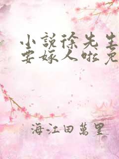 小说徐先生,我要嫁人啦免费阅读