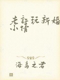 老许玩新婚少妇小倩