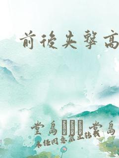 前后夹击高辣文