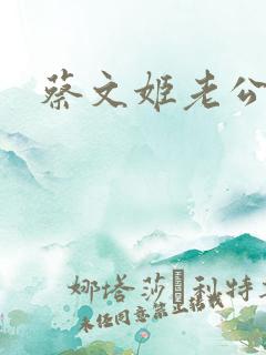 蔡文姬老公