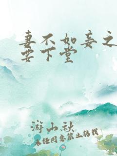 妻不如妾之夫人要下堂