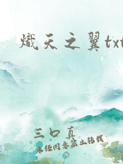 炽天之翼txt