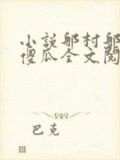 小说那村那人那傻瓜全文阅读