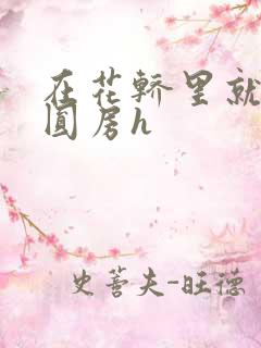 在花轿里就开始圆房h