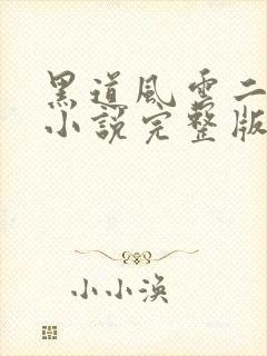黑道风云二十年小说完整版